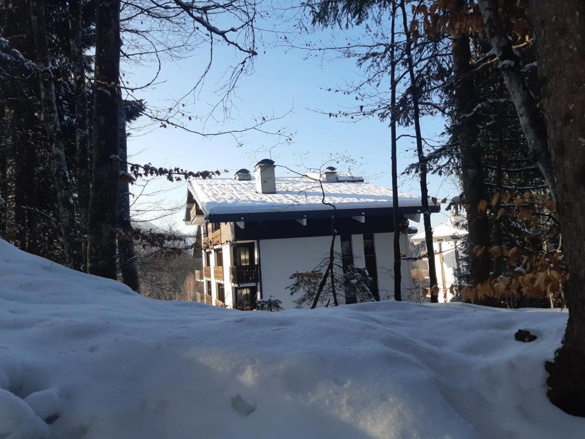 Appartement En Station De Ski A 700 M Des Telecabines Et 100 M Du Centre-Village Les Carroz-d'Araches Exterior foto